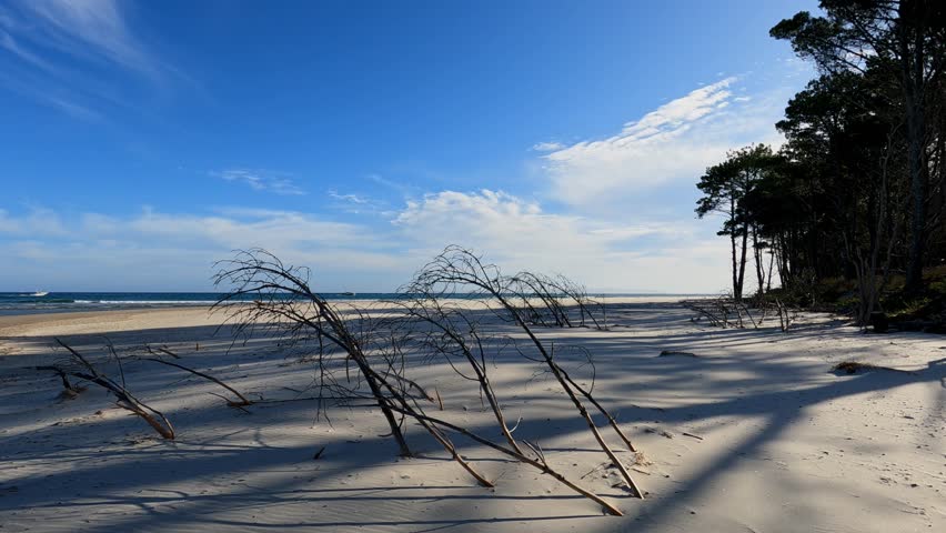 Walking Through White Sand Beach Of Matarangi On The Coromandel Peninsula Of New Zealand. POV Shot