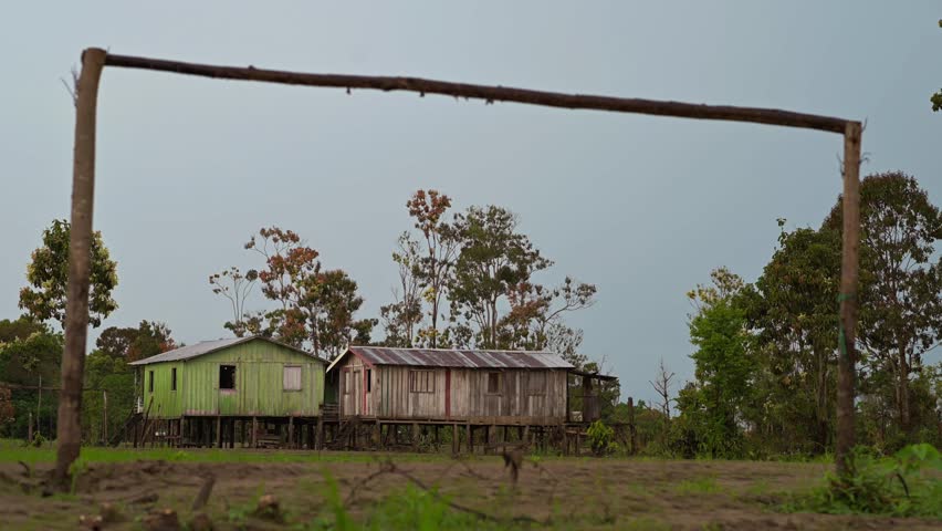 Amazon rainforest village scene with wooden houses on stilts, quiet and peaceful
