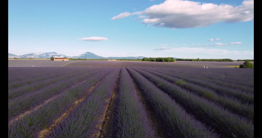 landscape of france in provence