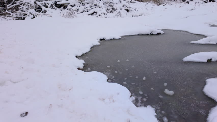Frozen pond surrounded by snow-covered ground in a winter forest.