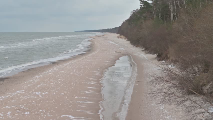 Winter Seascape with Frosty Beach and Coastal Vegetation