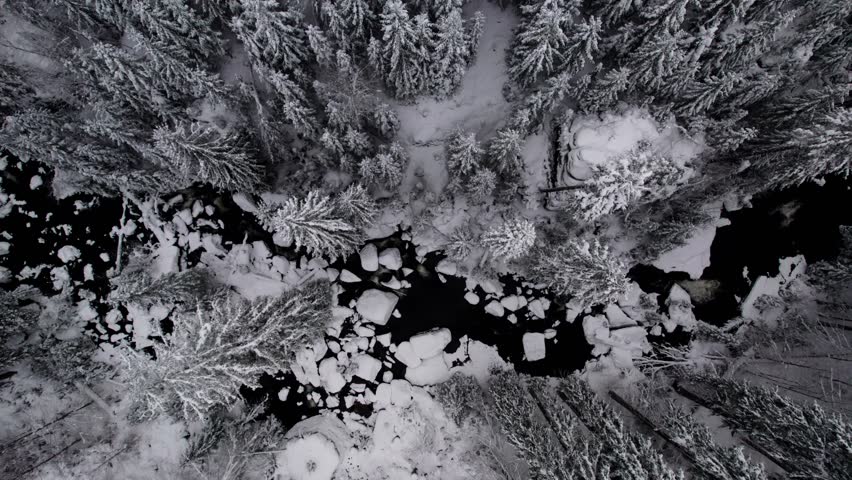Overhead ascending drone view into clouds, snow covered river, trees, wilderness