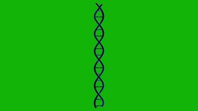 DNA Structure on Green Screen for Editing, I have Too much Animation and animation with high Resolution and Good quality. Ultra high Definition, 4k video. - Powered by Shutterstock - Get 15% off with code: PIKWIZARD15