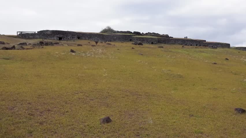 Easter island nature landscape footage