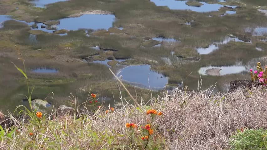 Easter island nature landscape footage