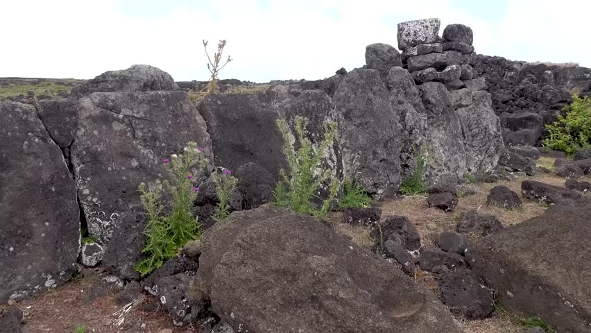 Easter island landscape view footage 