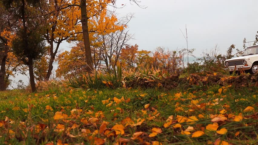 A peaceful autumn park covered in vibrant fall leaves, creating a warm seasonal atmosphere. A vintage old car is parked in the background
