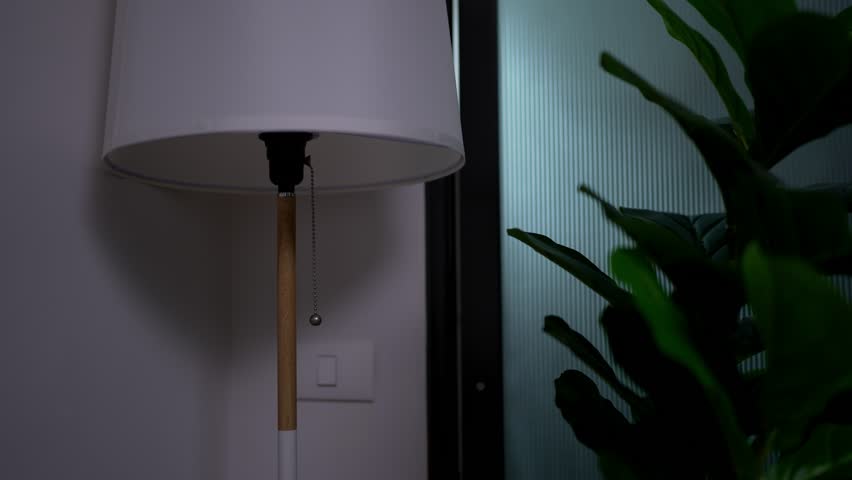 Hand of woman reaching out to turn on a lamp in the living room at a cozy home, A calm and inviting atmosphere, Hand pulling chain of lamp