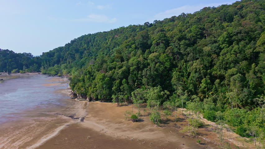 Low drone view of coastal tropical rainforest in Bako, Borneo