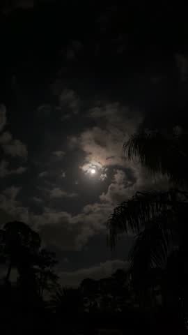 Full moon on cloudy night, view looking over treetops, vertical