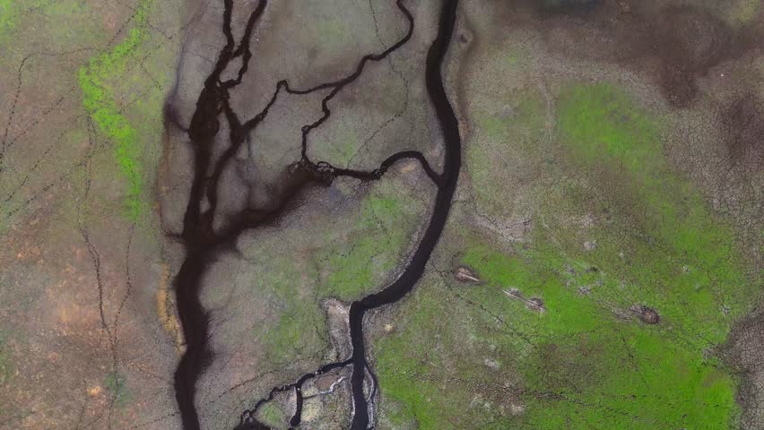 When the River Runs Dry, Natural narrow water flow that looks like tree branches on dry lands,dry river bed with small water canal, areal view of a water channels map