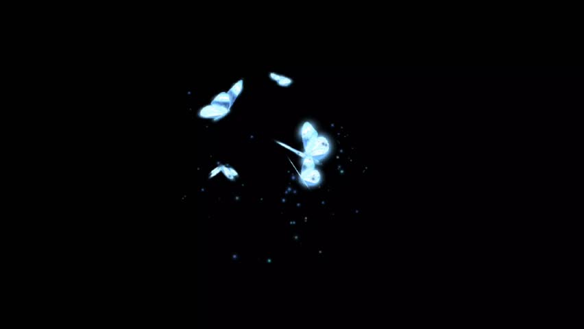 Beautiful butterfly flying effect animation with a black screen, featuring smooth wing motion, elegant flight, and glowing details. Perfect for overlays and VFX