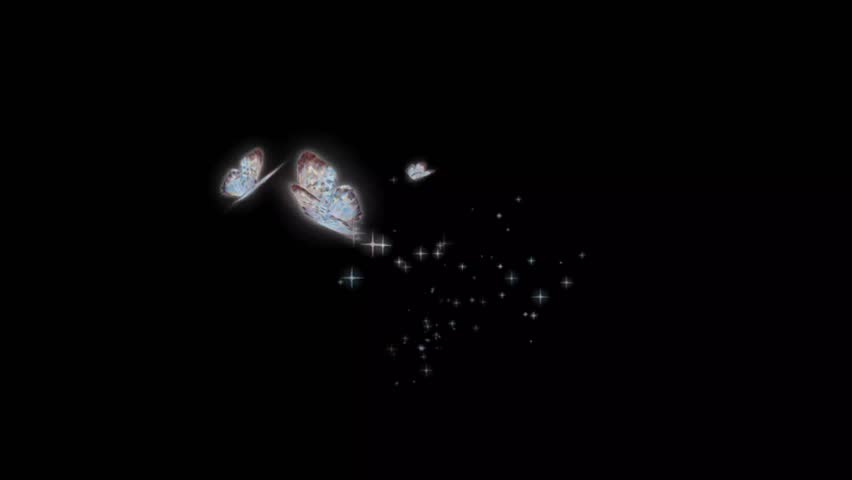 Beautiful butterfly flying effect animation with a black screen, featuring smooth wing motion, elegant flight, and glowing details. Perfect for overlays and VFX
