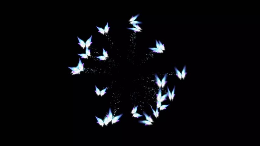 Beautiful butterfly flying effect animation with a black screen, featuring smooth wing motion, elegant flight, and glowing details. Perfect for overlays and VFX
