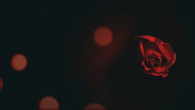 A solitary red rose with a soft focus effect set against a dark background The image captures the delicate beauty and elegance of the flower making it ideal for romantic and artistic themes - Powered by Shutterstock - Get 15% off with code: PIKWIZARD15