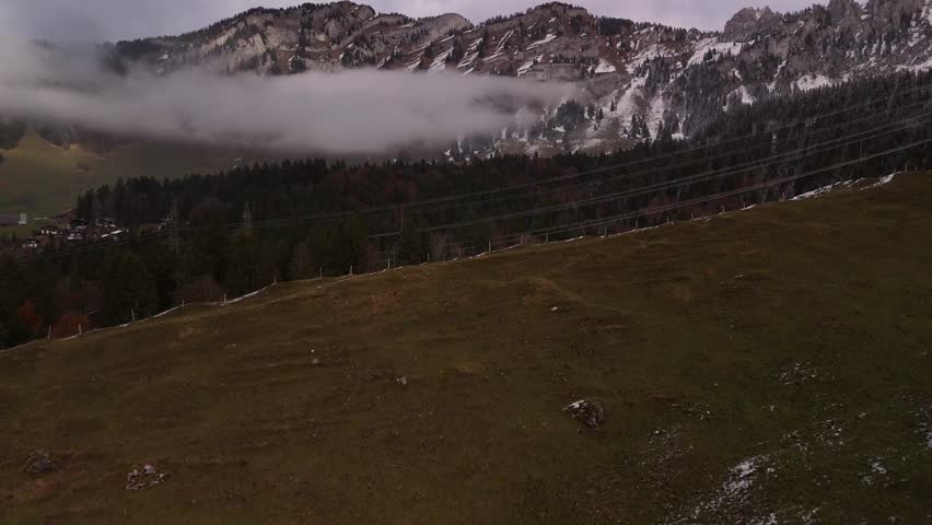 Fronalpstock mountains Glarus alps Switzerland Europe evergreen pine spruce forest