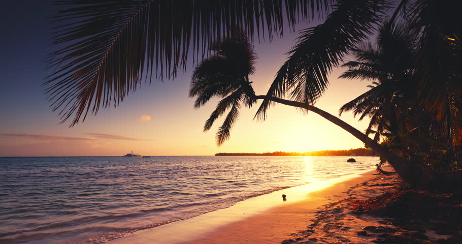 Paradise caribbean island sunrise of a tropical beach with exotic coconut palm trees lagoon Dominican republic