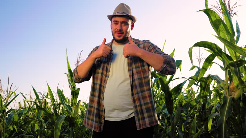 A farmer expresses excitement while standing among tall corn stalks during sunset. The beautiful sky enhances the atmosphere, making the moment uplifting and cheerful.
