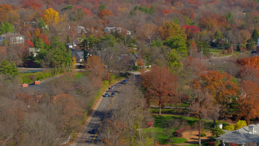Aerial view of cars traveling down Clayton Rd in St. Louis, Missouri, surrounded by vibrant autumn trees. The scenic street is lined with golden hues, creating a dynamic blend of seasonal beauty