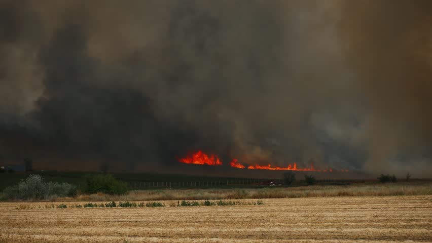 Intense flames consume dry fields, filling the sky with thick smoke. Extreme drought conditions lead to dangerous wildfires.