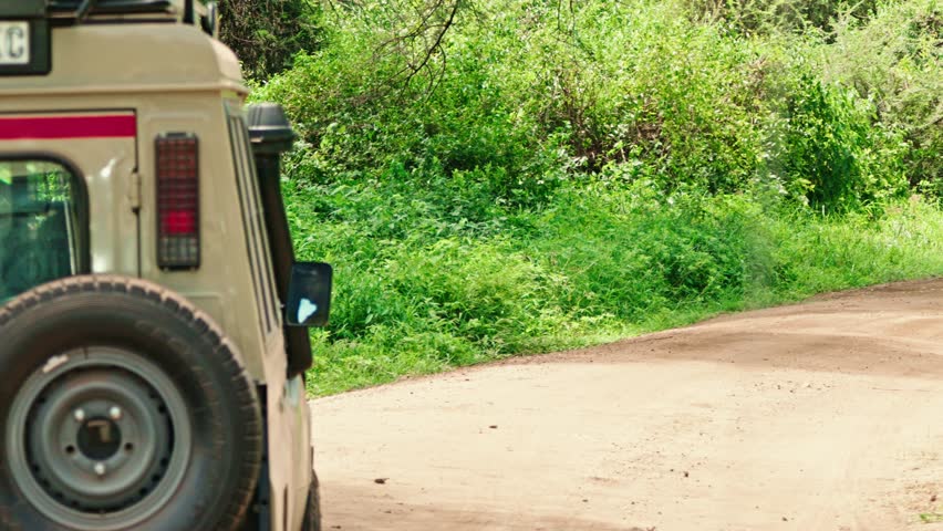 Elephant walking past safari vehicle in Africa