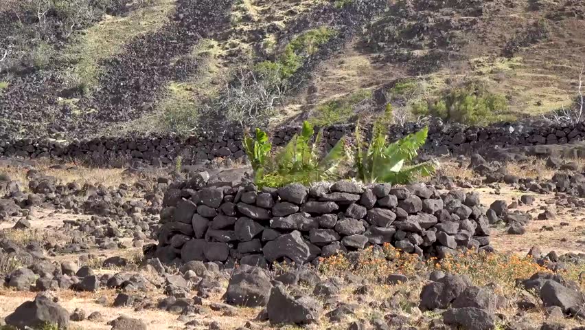 Easter island landmark nature footage 