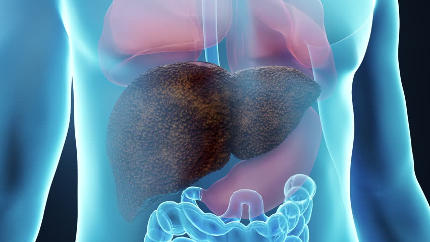 Drug molecules for treatment of cirrhosis, hepatitis and liver damage, liver disease, 3D animation.