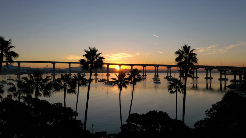 Silhouetted Coronado Bridge in San Diego, California at sunrise. Drone flying through palm trees towards moored boats and bridge.