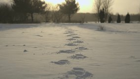 Closeup of Footprints in the Snow in Winter - Powered by Shutterstock - Get 15% off with code: PIKWIZARD15