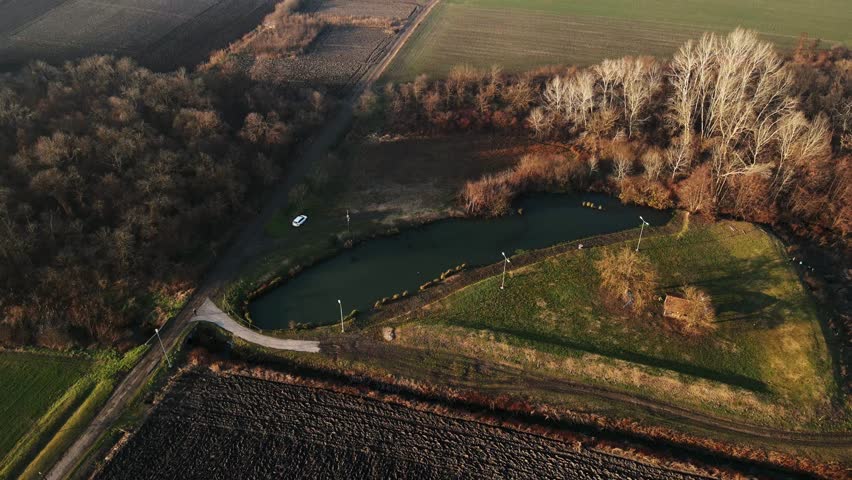 Exploring a serene countryside pond surrounded by lush fields and trees in the early morning light