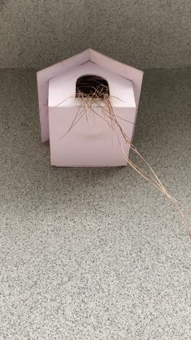 This is the video of a birdhouse.its a great initiative in a place where there are no trees.