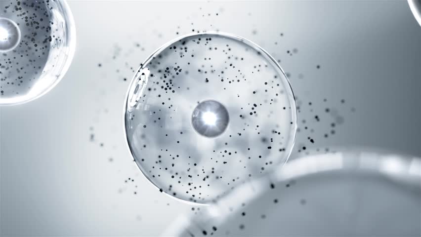 Remove melanin, whiten skin essence, plump essence ball molecule
