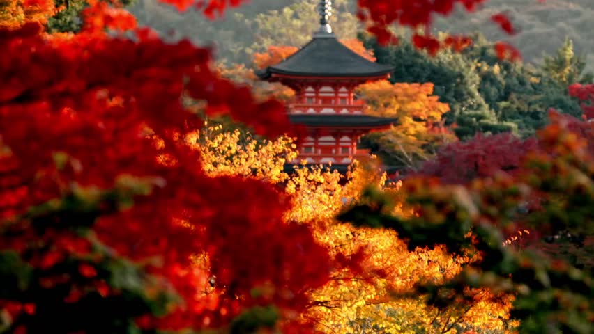 The iconic pagoda of Kiyomizu-dera in Kyoto, Japan, stands elegantly amidst a breathtaking display of red and yellow autumn foliage.