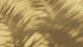 Blurred shadow of tropical palm leaves moving on the pink wall background. Summer concept. - Powered by Shutterstock - Get 15% off with code: PIKWIZARD15