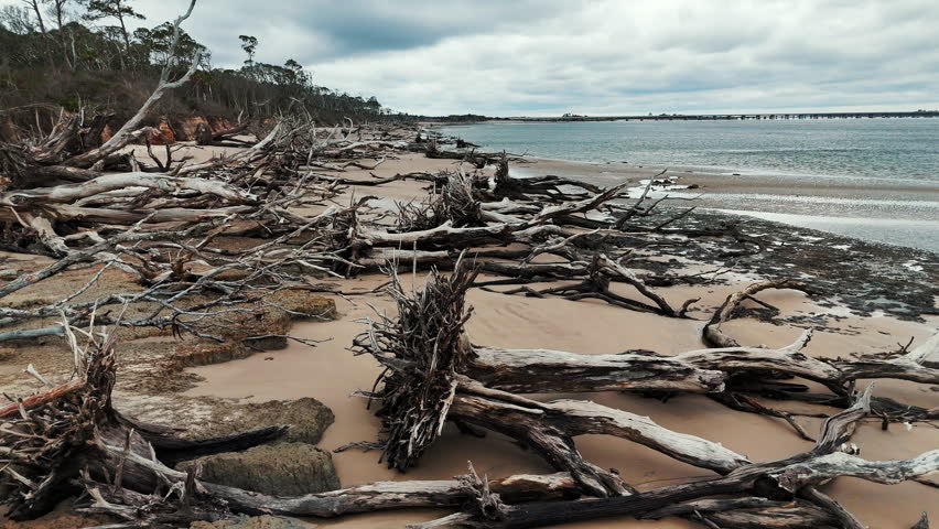 Aerial view of Boneyard Beach in Jacksonville, Florida. Drone 4k.