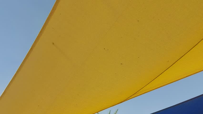 yellow blue shades in the garden