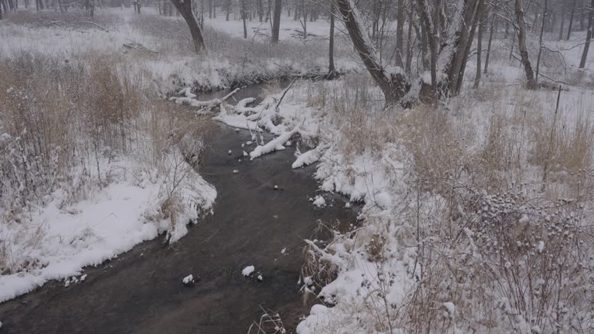 Winter creek flowing through a snowy Minnesota landscape, evoking calm and solitude