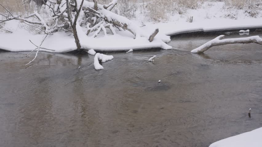 Snow-covered river in Minnesota with flowing water and fallen trees in winter scenery