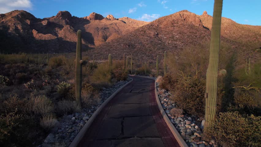 Eerie follow-shot along a cactus lined road in the Arizona desert, 4K