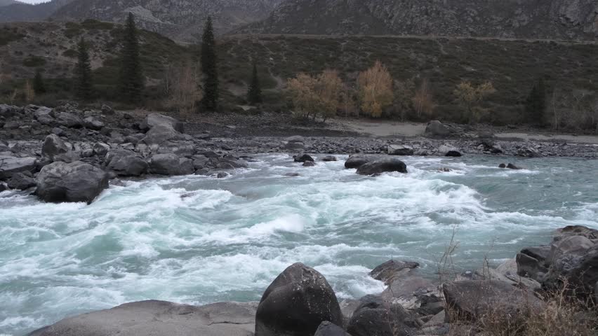 Fast moving stream of seething mountain river runs along stone banks. Amazing highland landscape with autumn bare grey forest at sunrise. Ilgumen threshold, Katun river, Altai