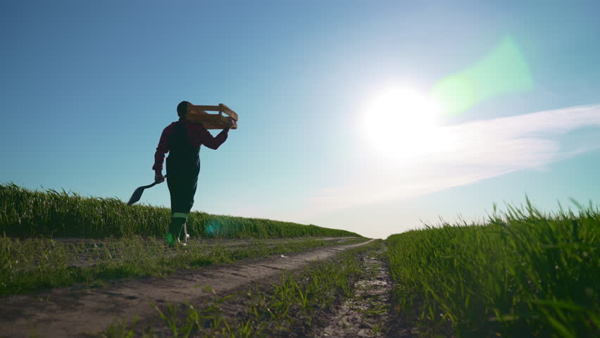 Male farmer with shovel and wooden box in agricultural field, rearview. Professional agronomist viewing farmland in summer day, bright sunlight in nature, following shot with farm worker, agribusiness