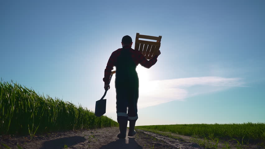 Farm worker walking in green fields in summer day, agriculture and agribusiness. Growing plants for food industry, professional farmer carrying wooden box and agricultural tools, slow motion shot