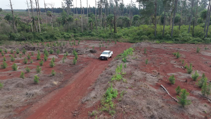 A car travels through a deforested landscape, environmental impact and human activity, pullback reveals reforestation efforts