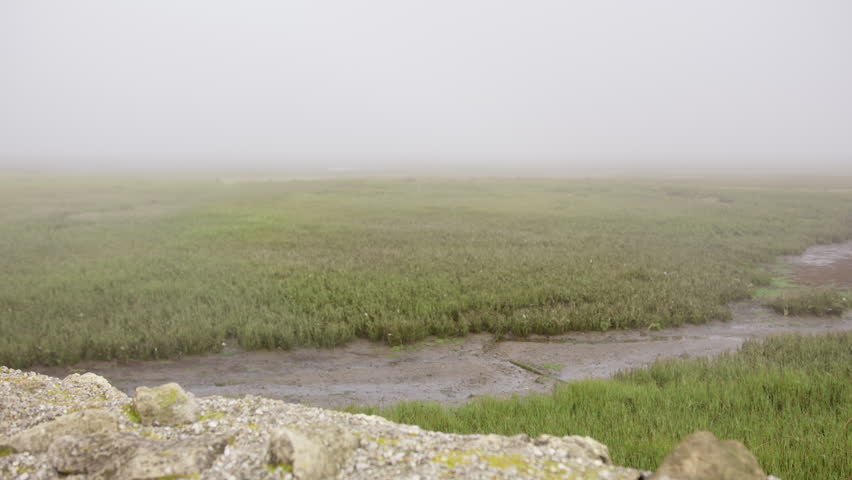 Foggy weather over agriculture fields, handheld view