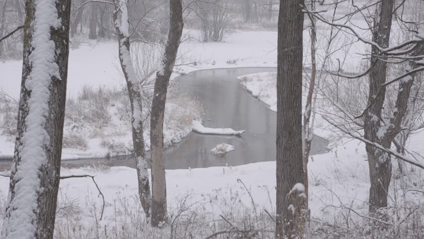 Snow-covered trees and a winding river in a peaceful Minnesota winter landscape