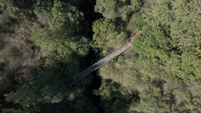 France - Reunion Island - Mafate - Sentier Scout, Woman walking on a bridge
