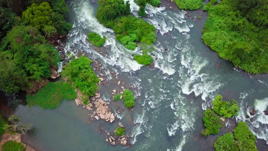 Aerial view capturing the River Nile rapids cascading through vibrant green vegetation in Uganda, Africa, showcasing a stunning and pristine natural landscape filled with beauty, top down drone shot