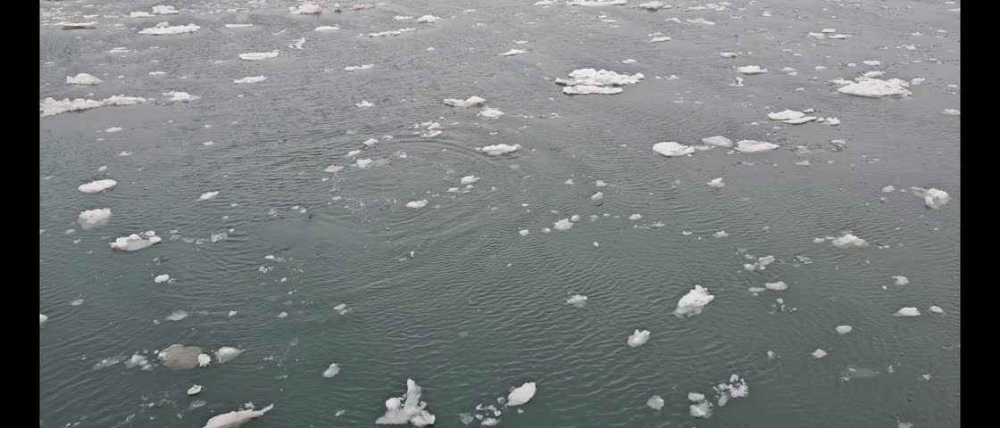 Sunset over the icy sea in the Polar Circle. Hundreds of birds soar in the sky, icebergs drift on the water.