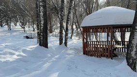 A wooden gazebo in the mountains, in a birch grove. Winter time. Nature. - Powered by Shutterstock - Get 15% off with code: PIKWIZARD15