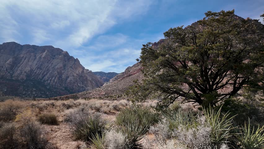 Red Rock, Nevada. Camera pan left to right. Daytime. Sunny, partly cloudy sky. 4K
